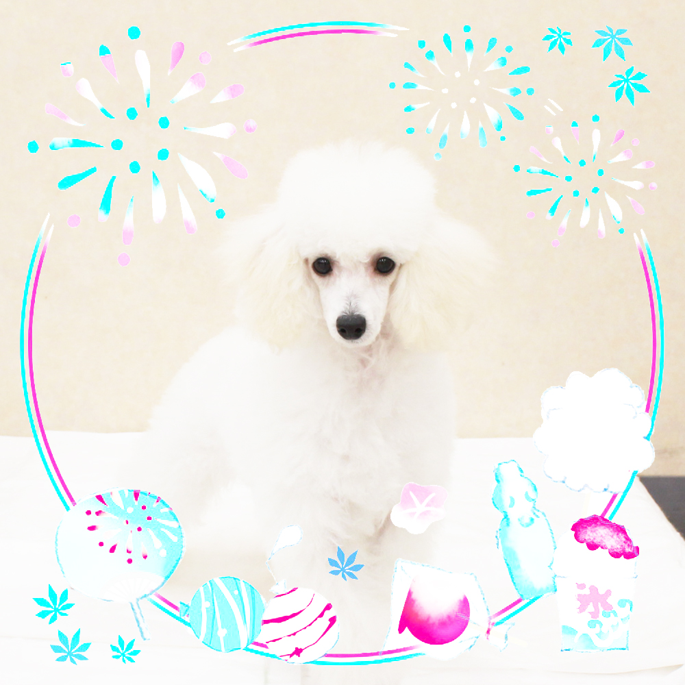 ８月で１歳になりました☆